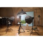 Godox Litemons LE300 Bi-color LED Light (black) – Bild 4
