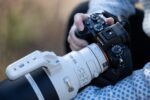 Sony FE 100–400mm F4,5 GM OSS – Bild 6