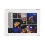 SmallRig RM 03 Macro Photography LED Video Light Kit (3 pack) 6520 – Bild 9